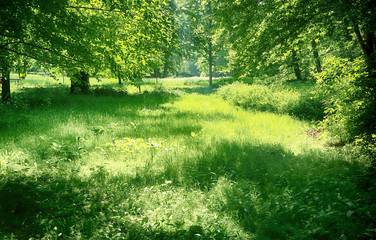 Frederiksberg gardens - Copenhagen, Denmark