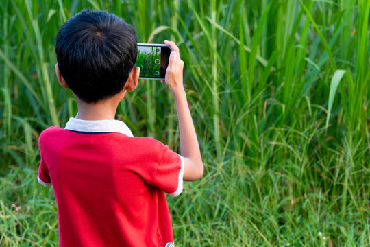 A boy wearing a red shirt, taking pictures of tall grass from a mobile phone.