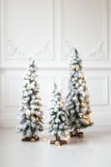 Blured photo of firs wrapped in shining garland standing in middle of room