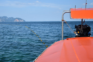 Obraz premium Longtail boat