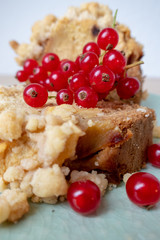 Apfelkuchen mir Johannesbeeren IV