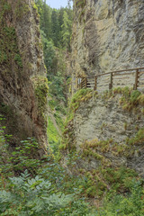 Looking through the foliage into the Kitzlochklamm, a deep gorge near Zell am See