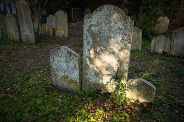 Gravestone illuminated by a sunbeam