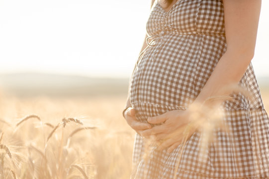 Pregnant woman in cereal field touching her belly