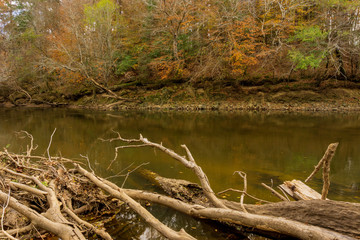 Logs accumulate on a river in autumn with extensive erosion.