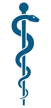 Medical symbol - Staff of Asclepius or Caduceus icon isolated on white background. The snake wrapped around a wooden staff. Other name Rod of Aesculapius.