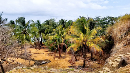 Fort San Lorenzo,Panama-Colon, UNESCO world heritage site