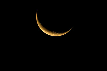 Fototapeta na wymiar Waning crescent moon rising in the early dawn.