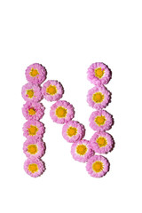 Chrysanthemum Alphabet