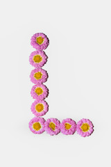 Chrysanthemum Alphabet