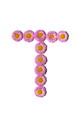 Chrysanthemum Alphabet