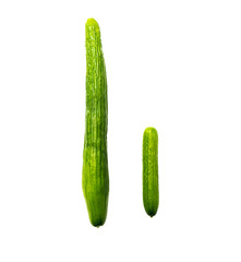 Man penis size concept, isolated big and small cucumbers on white background.