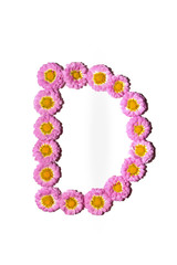 Chrysanthemum Alphabet