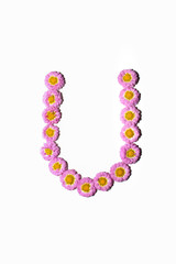 Chrysanthemum Alphabet