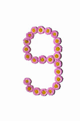 Chrysanthemum Alphabet