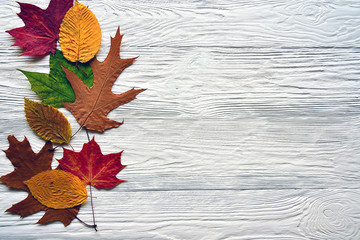 Fototapeta premium Colorful dry leaves on a white wooden background.
