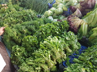 A buyer who chooses parsley and dill in the bazaar or supermarket.