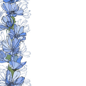 Floral vertical border with blue flowers chicory and green leaves on white. Hand drawn. For your design, greeting cards, wedding invitation. Copy space. Vector stock illustration.