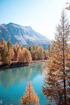 Lake