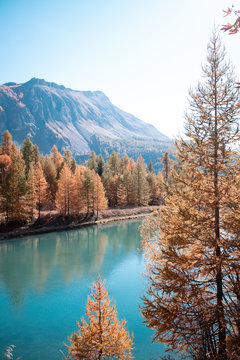 Lake