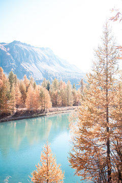 Lake