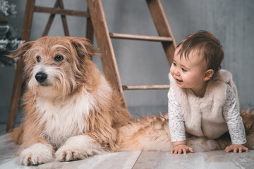 Blonder Hund und Baby Kind auf Fell Leiter im Hintergrund süß hübsches Paar