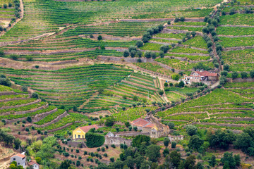 Valle del Douro, Portogallo