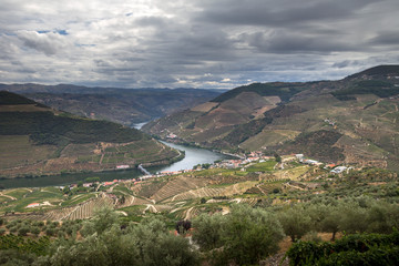 Fototapeta na wymiar Valle del Douro, Portogallo