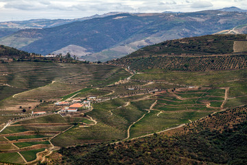 Valle del Douro, Portogallo