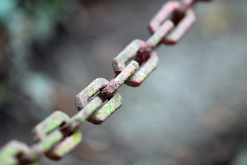 A moss covered, rusty old chain in a diagonal direction.