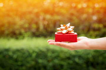 Woman hand hold a red gift box tied with golden ribbon for give in the public park, present for...