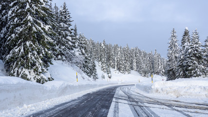 Fototapeta premium San Bernardino, Switzerland. Driving on a road after a snowfall. Driving shot, driver point of view. POV, vehicle point of view. Camera on car roof. White trees. Winter contest