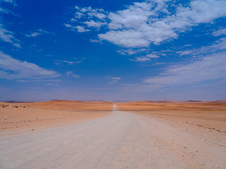 Fototapeta na wymiar Namib desert - Sossusvlei - Namibia