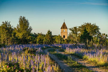 Fototapeta premium Coastal Swedish Chapel, blue sky and seaside natural environment background. Shore in Pakri Island, Nature Reserve in Estonia, National Park in Europe
