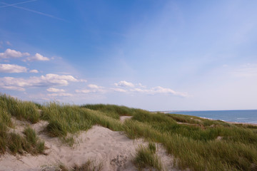 Summer at the West Coast