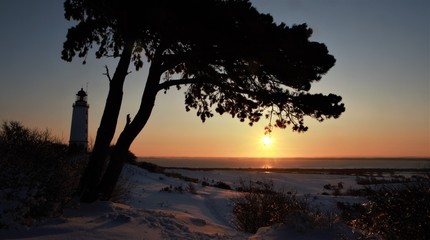 Fototapeta na wymiar picture-postcard view to the lighthouse and pine tree on Hiddensee island in beautiful winter landscape