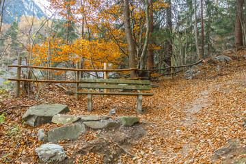 Rastbank im herbstlichen Laubwald