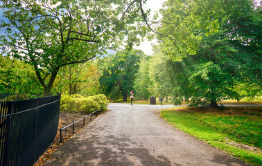 Landscape of a London park on a sunny day