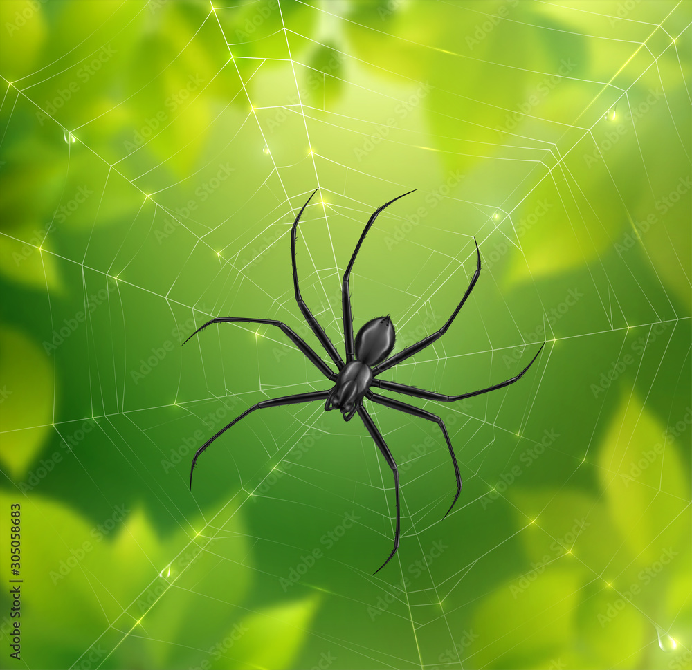 Poster spider on web composition