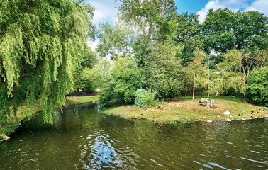Fototapeta premium Landscape of a London park on a sunny day