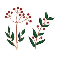 Set of twigs with small red berries and leaves. For decorating dishes, textiles, postcards, prints on clothes.