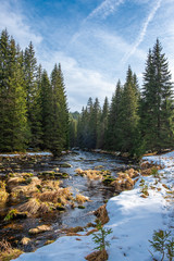 Vydra and its surroundings, beautiful river in National Park of the Czech Bohemian forests, Czech Republic.