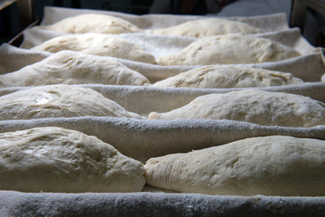 bakery production