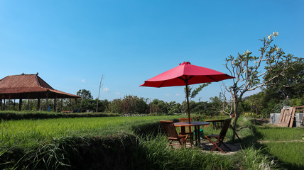 views of rice fields and chairs during the day