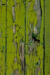 Fototapeta premium abgeblätterte grüne Farbe auf Holz 