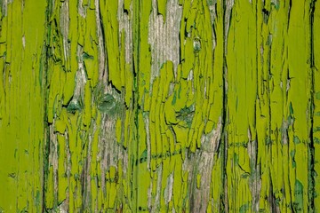 abgeblätterte grüne Farbe auf Holz 