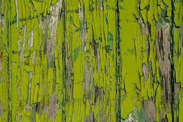 abgeblätterte grüne Farbe auf Holz 
