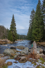 View from "Living room" by the Modravsk&yacute; stream, National Park of the Czech Bohemian forests, Czech Republic