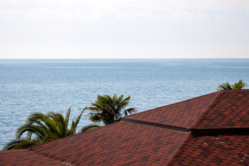 Fototapeta na wymiar Sea view from the roof of the building. Red roof, green palm trees, blue sea. The concept of vacation, tourism, sunny summer.