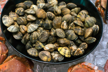 fresh shellfish in the fish department of the store